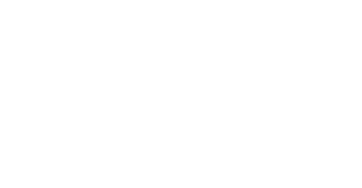 Impex Flowers