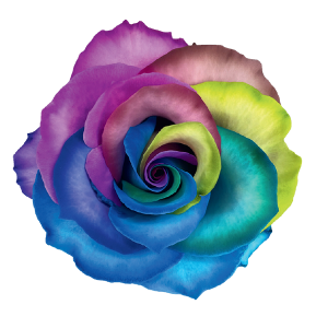 Rainbow classic