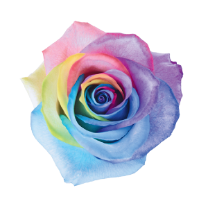 Rainbow classic pastel
