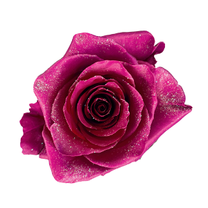 Icy Pink