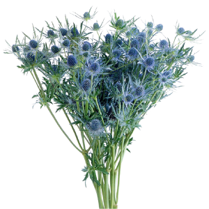 Blue Ice