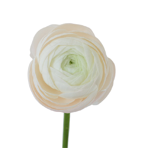 Elegance White
