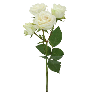 Floreana