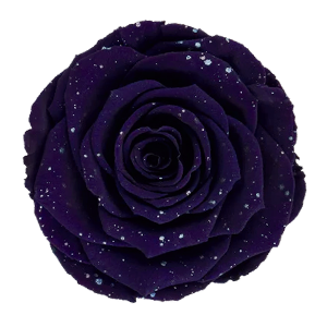 Galaxy Collection