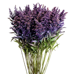 Tinted Purple