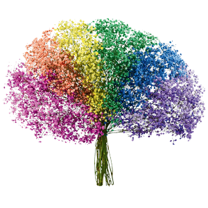 Tinted Rainbow Dark