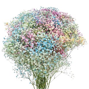 Tinted Rainbow Pastel