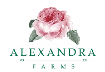alexandra