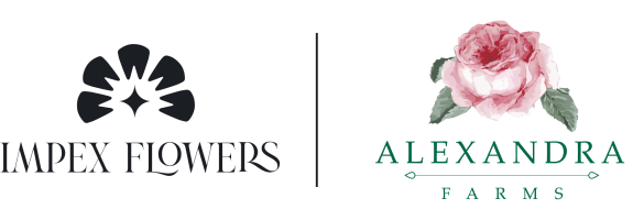 Cobranding Alexandra