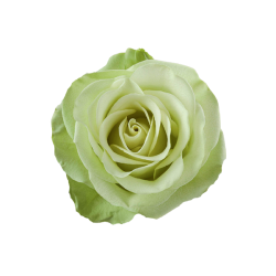 Green Romance